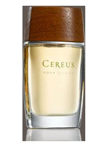 Cereus No.7 Erkek Parfümü