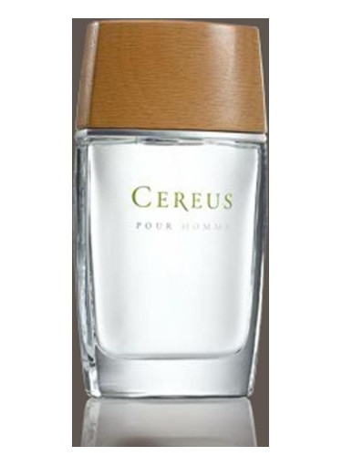 Cereus No.4 Erkek Parfümü