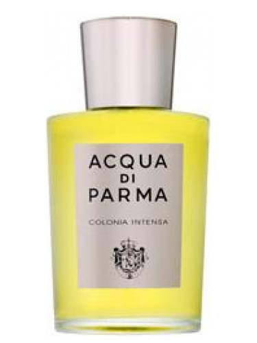 Acqua di Parma Colonia Intensa Erkek Parfümü