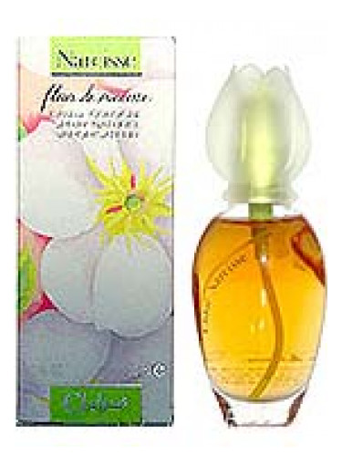 Chloé Fleur de Narcisse Kadın Parfümü