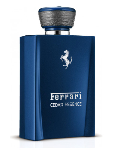 Ferrari Cedar Essence Erkek Parfümü