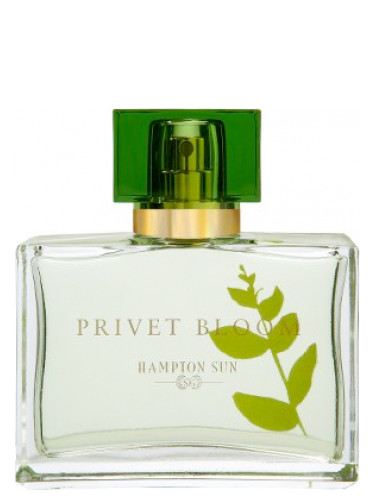 Hampton Sun Privet Bloom Kadın Parfümü