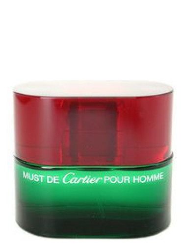 Cartier Must Pour Homme Essence Erkek Parfümü