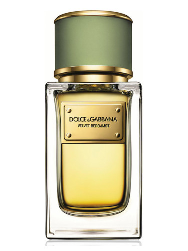 Dolce & Gabbana Velvet Bergamot Erkek Parfümü