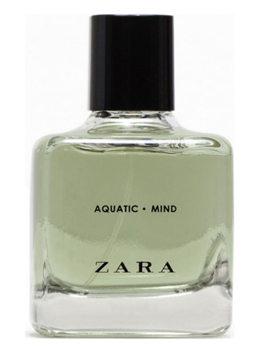 Zara Aquatic Mind Erkek Parfümü