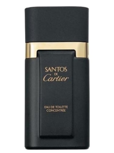 Cartier Santos Concentrée Erkek Parfümü