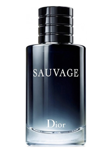 Christian Dior Sauvage Erkek Parfümü