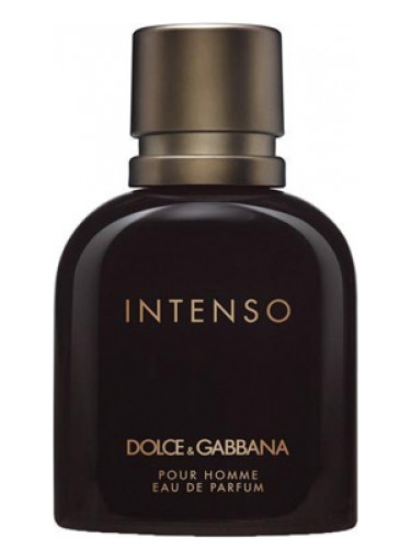 Dolce & Gabbana Pour Homme Intenso Erkek Parfümü