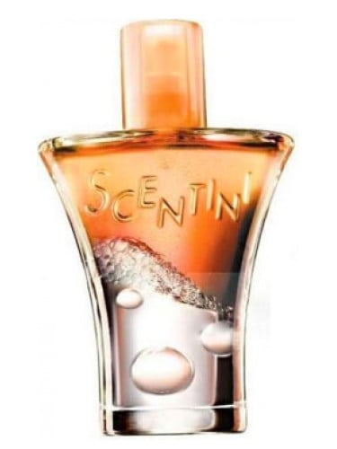 Avon Scentini Citrus Chill Kadın Parfümü