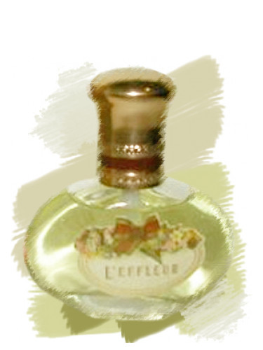 Coty l'Effleur Kadın Parfümü
