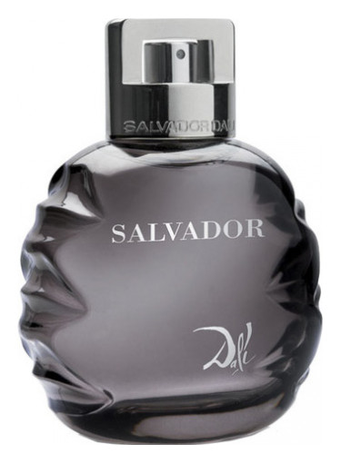 Salvador by (2010) Erkek Parfümü