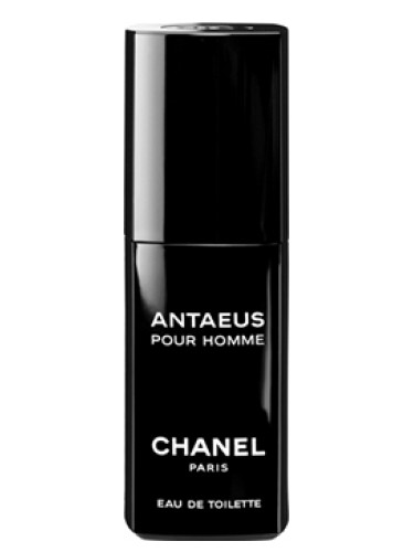 Chanel Antaeus Erkek Parfümü