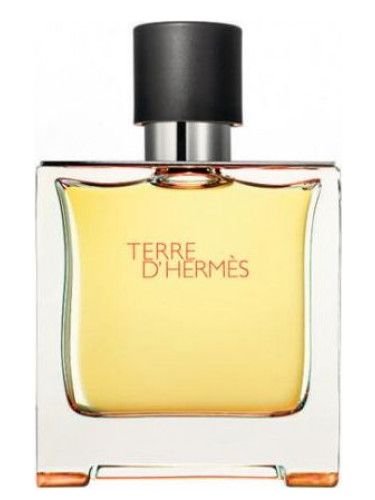 Hermès Terre d'Hermes Parfum Erkek Parfümü