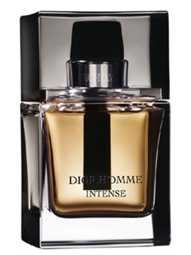 Dior Homme Intense 2007 Erkek Parfümü