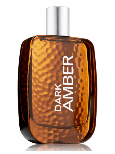 Bath and Body Works Dark Amber for Men Erkek Parfümü