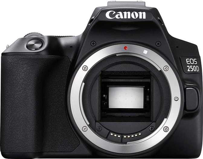 Canon EOS 250D + Canon EF 75-300mm F/4-5.6 III