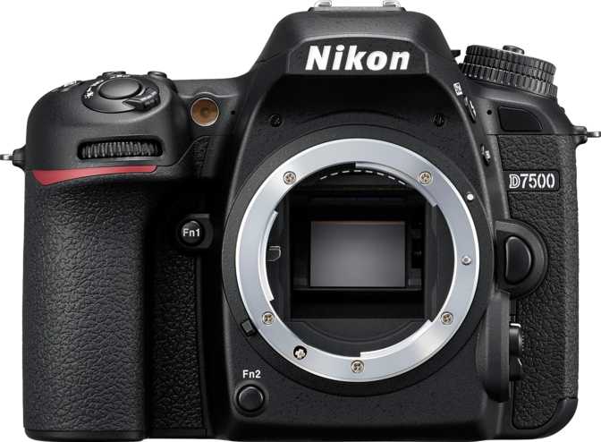 Nikon D7500 + Nikon AF-P DX Nikkor 70-300mm F4.5-6.3G ED VR