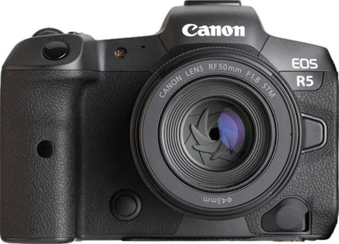 Canon EOS R + Canon RF 50mm f/1.8 STM