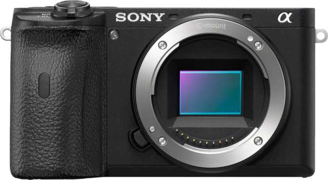 Sony a6600 + Sony E 55-210mm F4.5-6.3 OSS