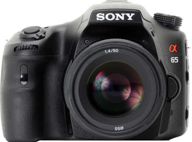 Sony SLT-A65V + Sony 50mm/ f1.4