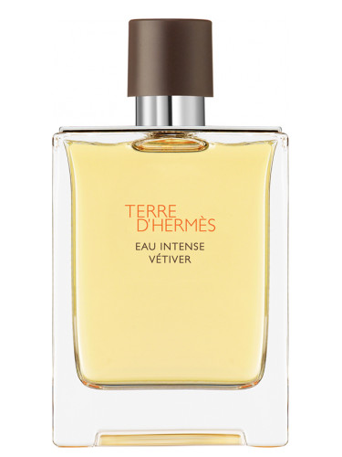 Hermès Terre D'Hermes Eau Intense Vetiver Erkek Parfümü